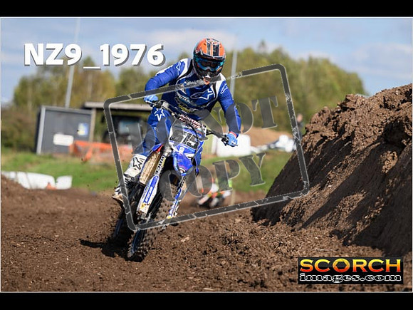 Experts-319
