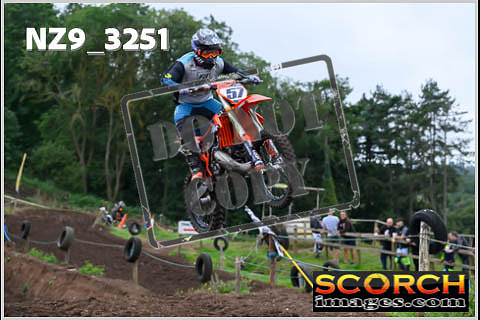 Experts-032