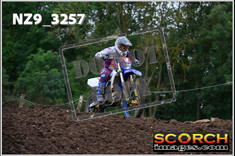 Experts-038