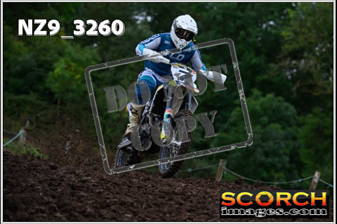 Experts-041