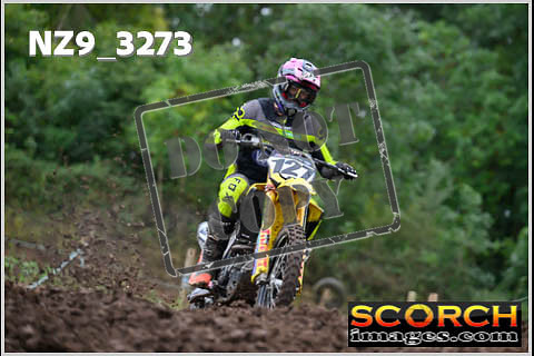Experts-054