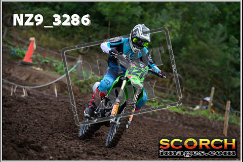 Experts-067
