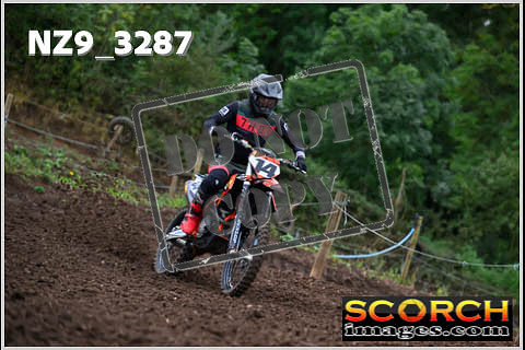 Experts-068