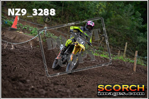 Experts-069