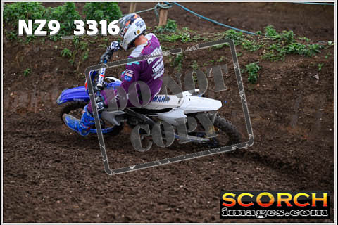 Experts-095
