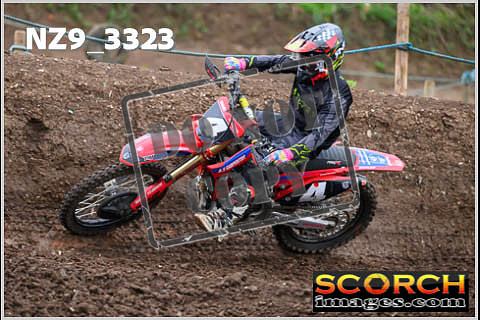 Experts-102