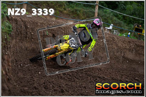 Experts-116