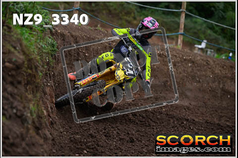 Experts-117