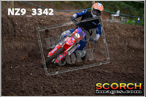 Experts-119
