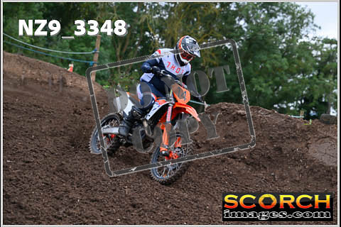 Experts-124