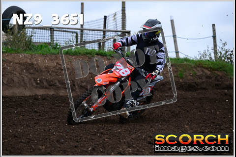 Experts-131