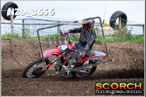 Experts-136