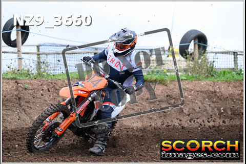 Experts-140