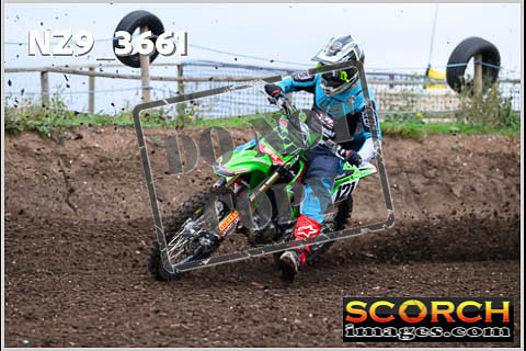 Experts-141