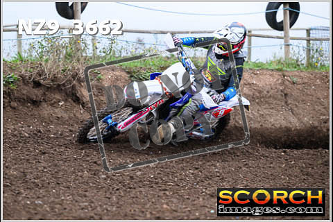 Experts-142