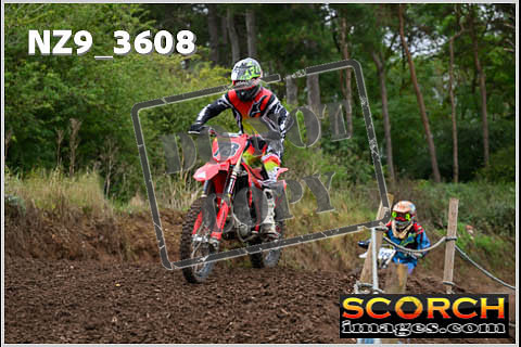 Inters Green-080