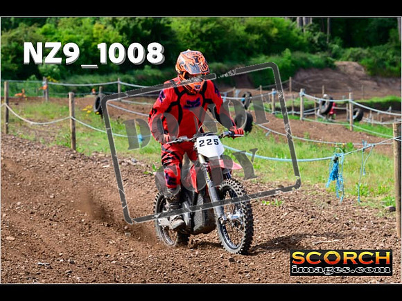 IntersGreen-072