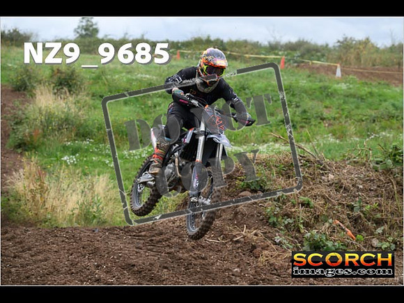 Experts-082