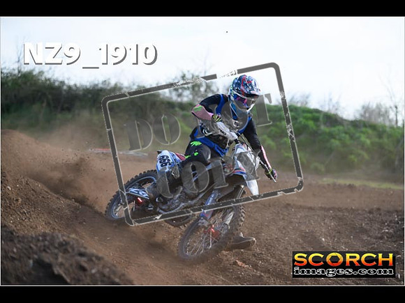Experts-053