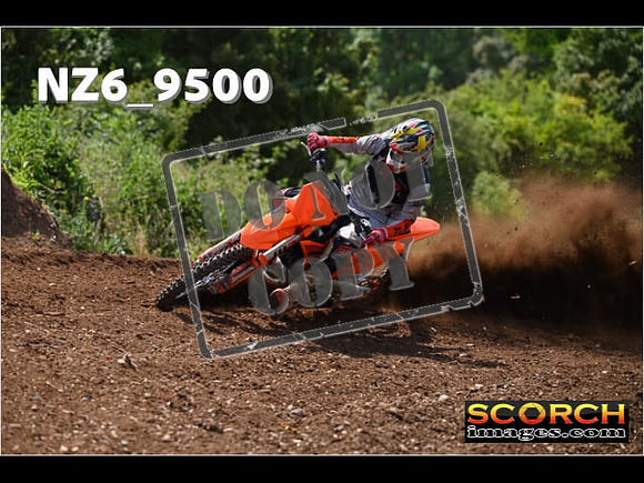 Experts-263