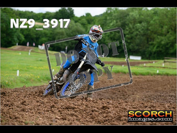 Experts-027