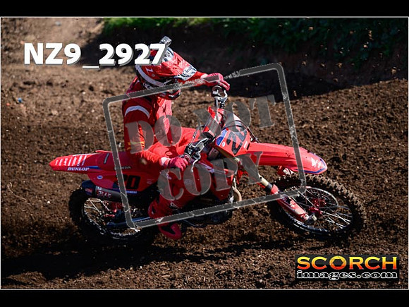 Experts-099