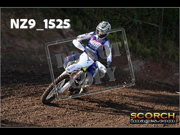 Experts-213