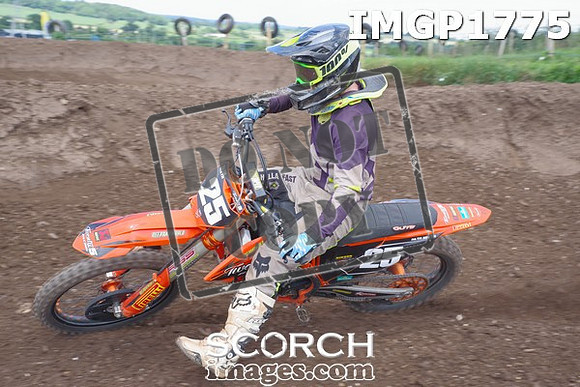 IMGP1775