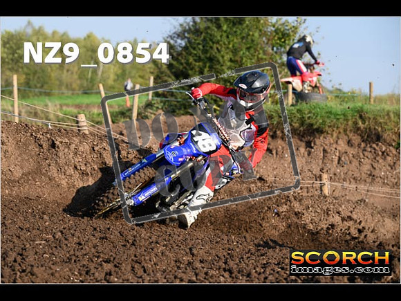 Experts-069