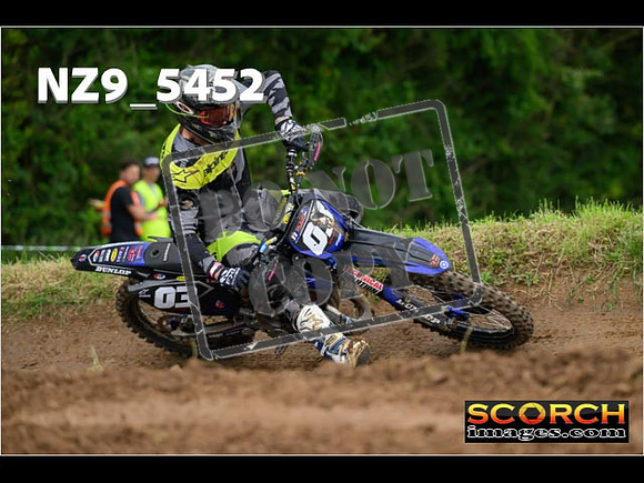 Experts-383