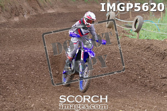 IMGP5620