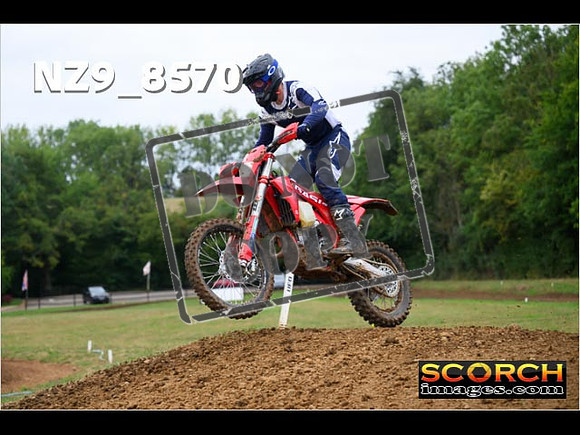 Experts-116