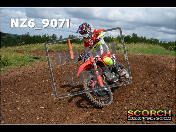 Experts-136