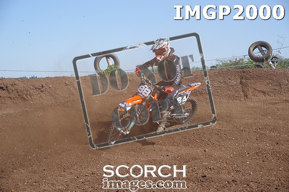 IMGP2000