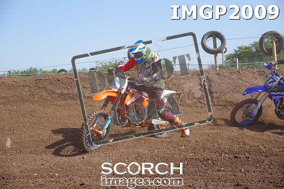 IMGP2009