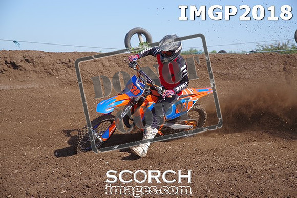 IMGP2018