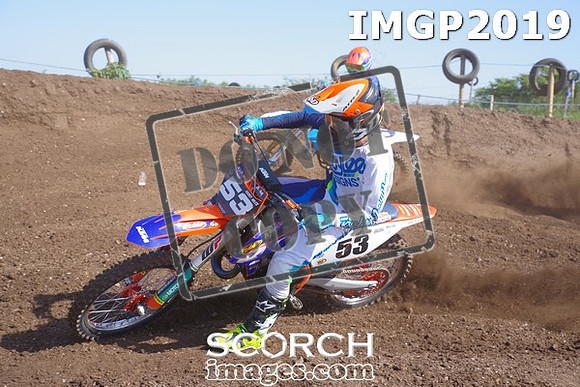 IMGP2019