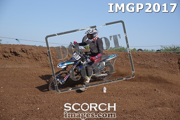 IMGP2017