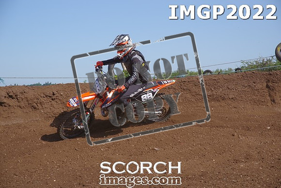 IMGP2022