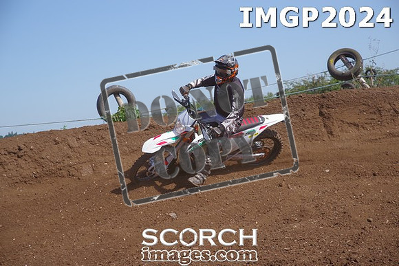 IMGP2024