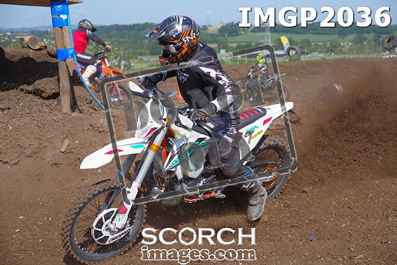 IMGP2036
