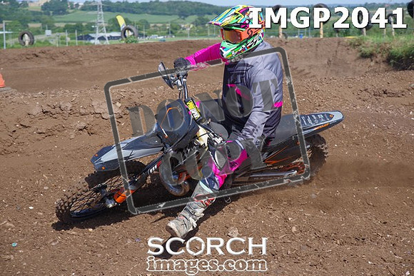 IMGP2041