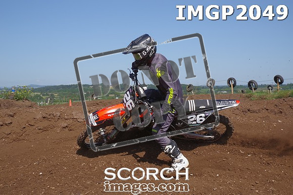 IMGP2049