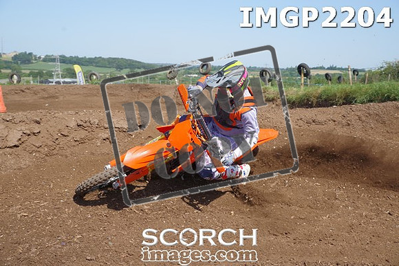 IMGP2204