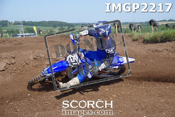 IMGP2217