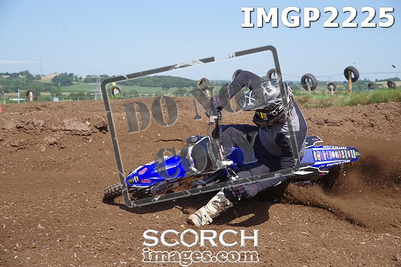 IMGP2225