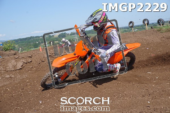 IMGP2229