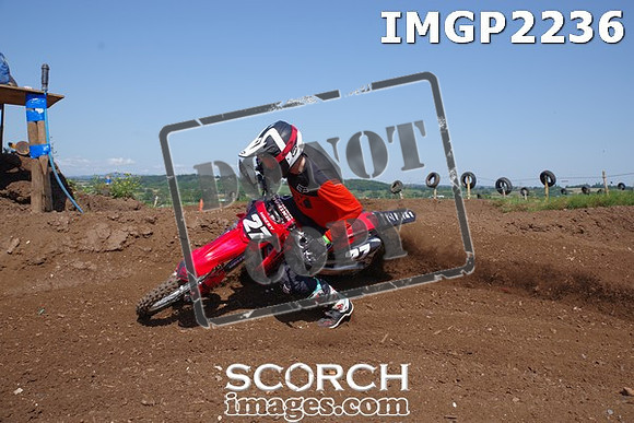 IMGP2236