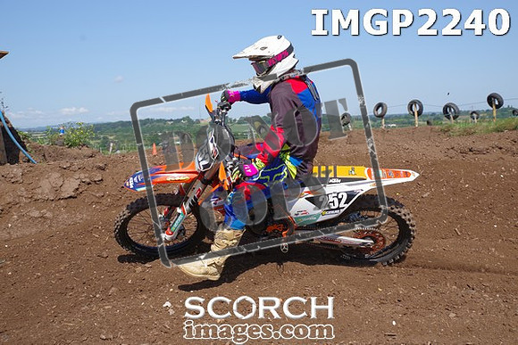 IMGP2240