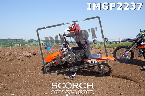 IMGP2237
